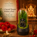 GANESHA'S TERRARUIM POD