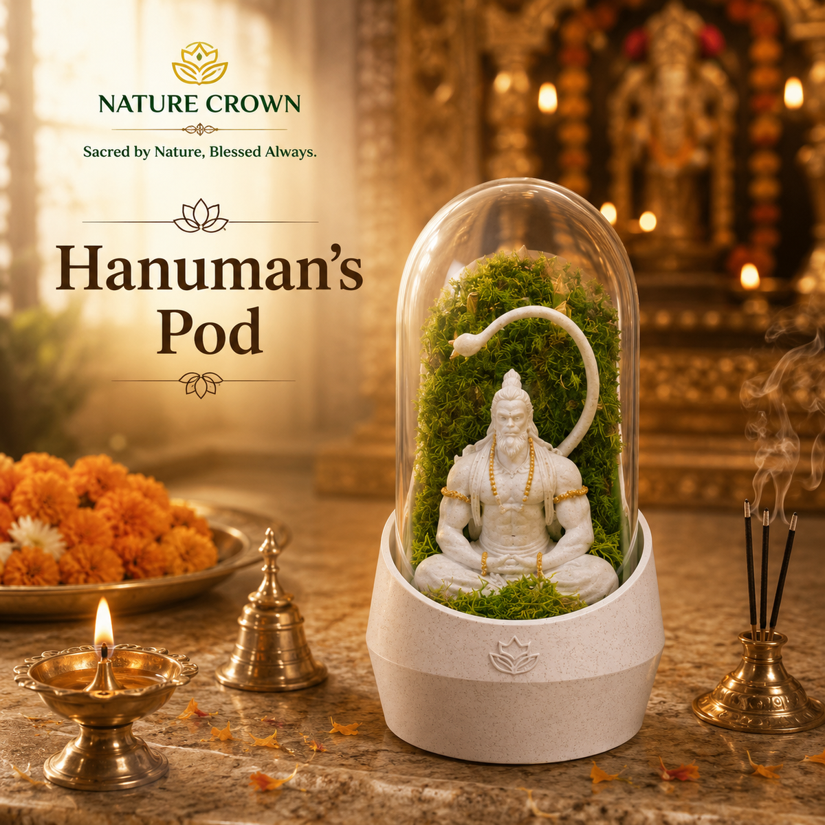 HANUMAN'S TERRARUIM POD