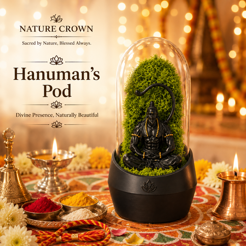 HANUMAN'S TERRARUIM POD