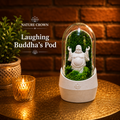 LAUGHING BUDDHA'S TERRARUIM POD