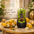 JAGANATH'S TERRARUIM POD