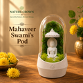 MAHAVIR JAIN TERRARUIM POD