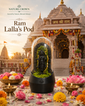 RAM LALLA TERRARUIM POD