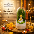 SARASWATI TERRARUIM POD