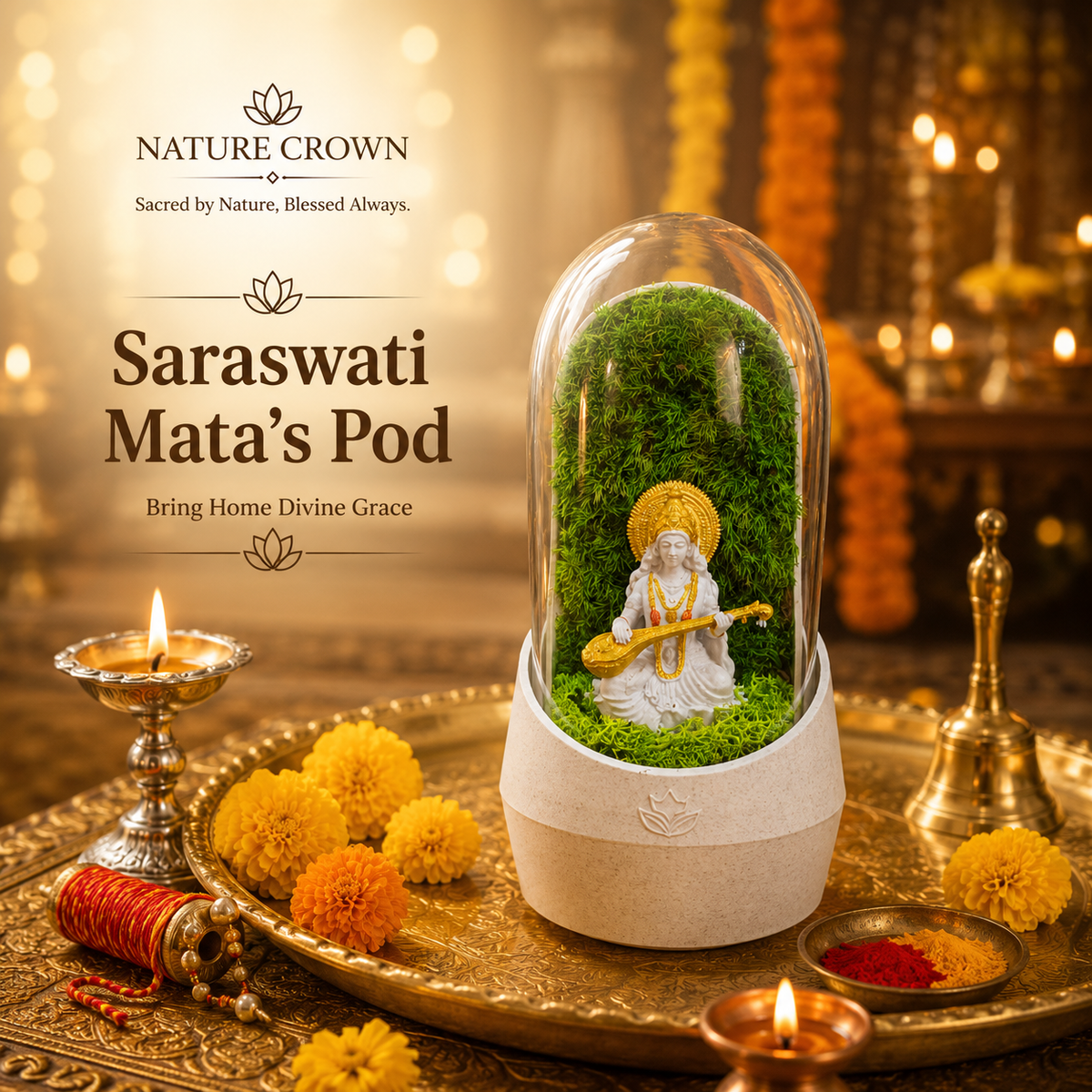 SARASWATI TERRARUIM POD
